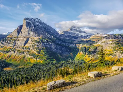 Rocky mountains above a pine forest and a road
